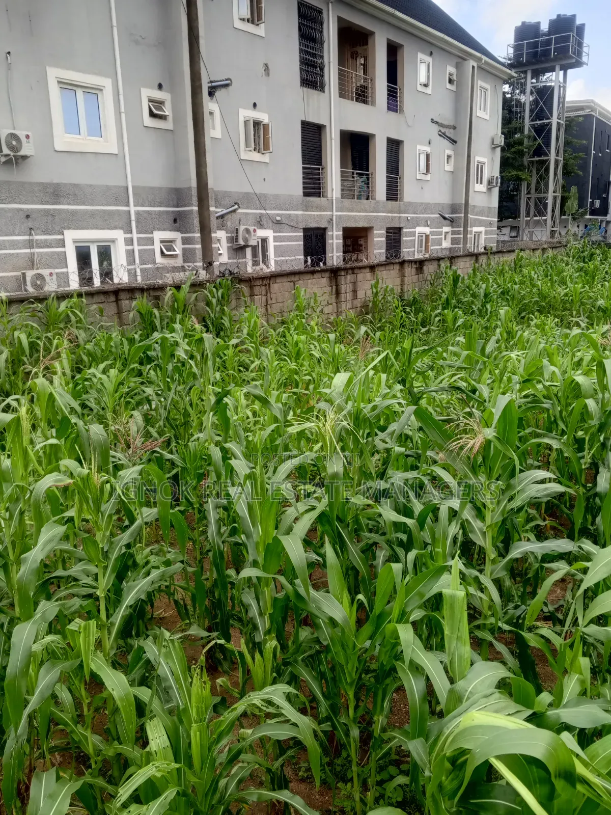 1000sqm Land Dape District