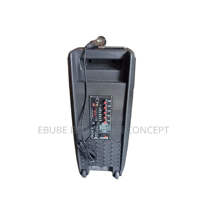 AILIPU Portable Rechargeable Speaker With One Wire Mic and Led Display