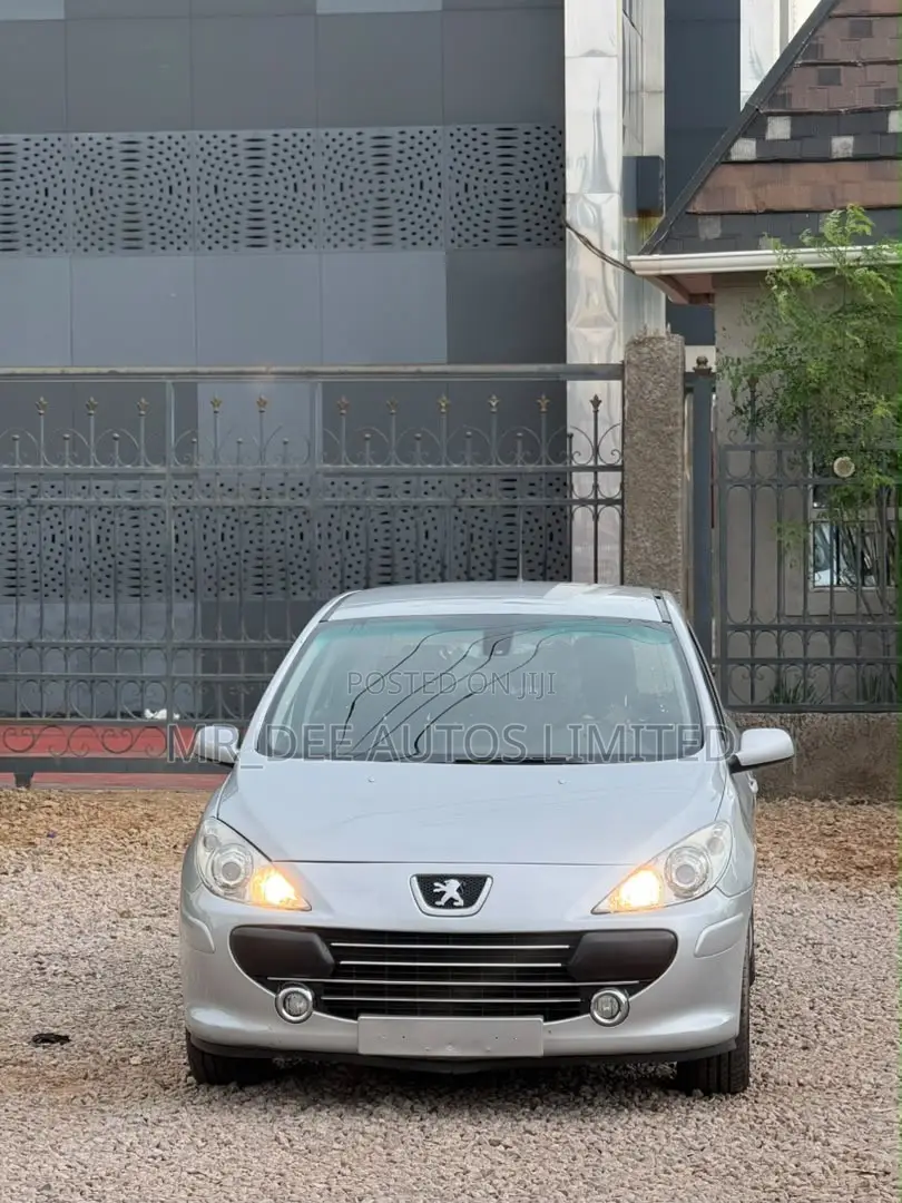 Peugeot 307 2007 Silver