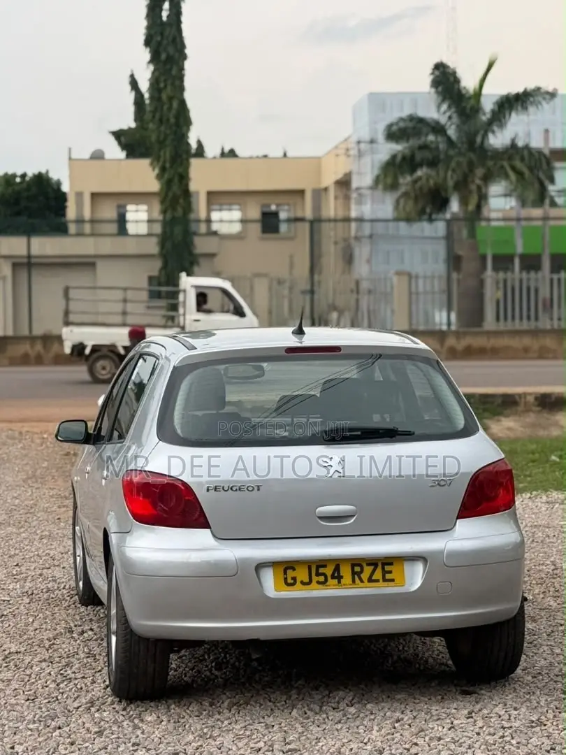 Peugeot 307 2007 Silver