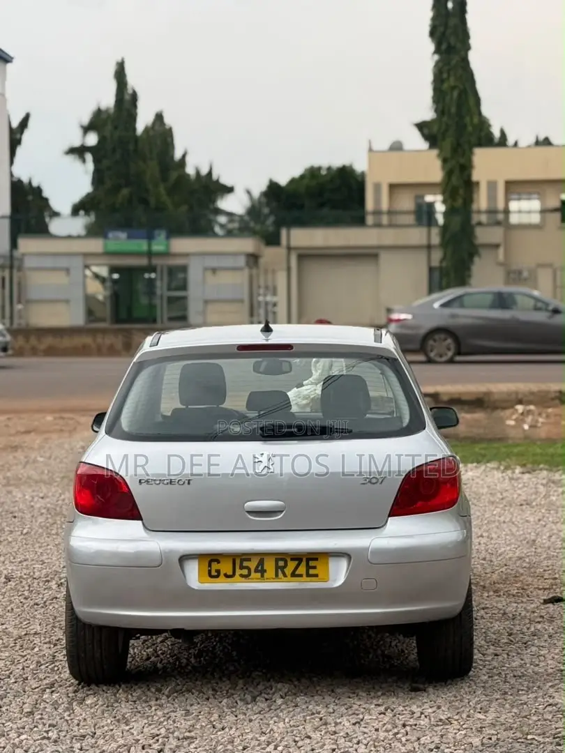 Peugeot 307 2007 Silver