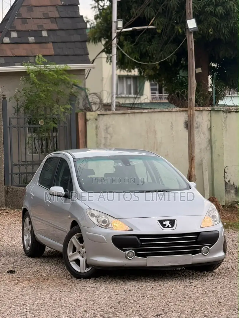 Peugeot 307 2007 Silver