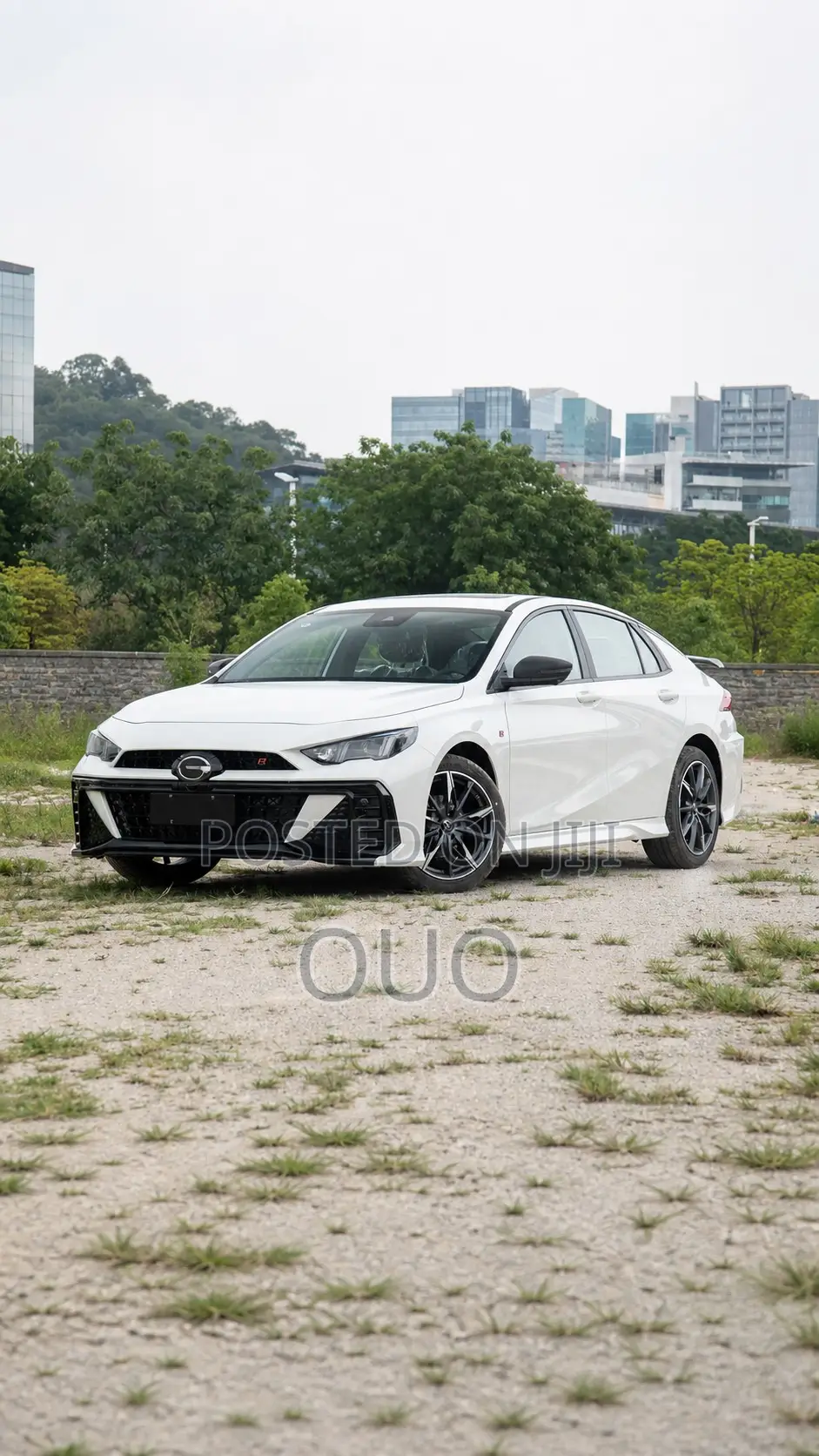 GAC GM6 2025 White