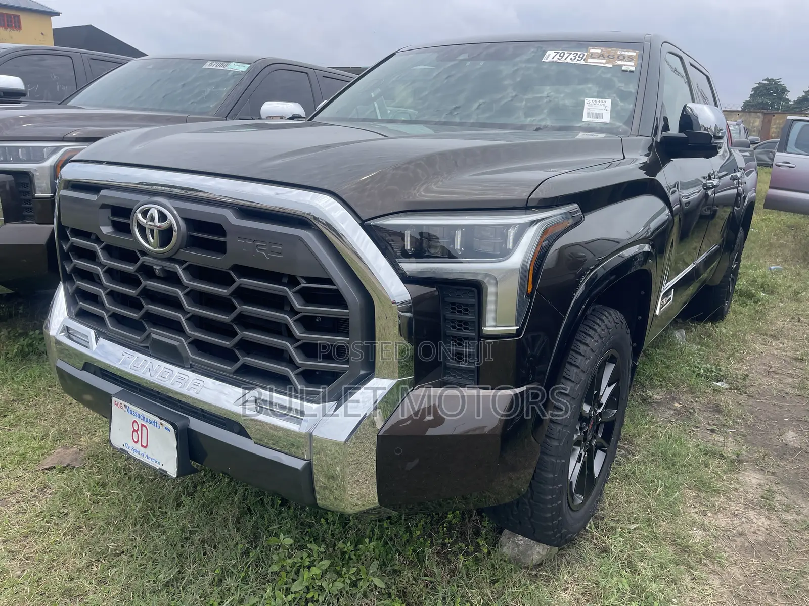 Toyota Tundra Platinum CrewMax 6.5' Bed 2023 Brown