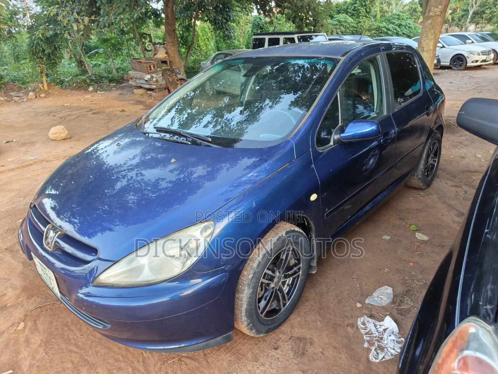 Peugeot 307 2007 Blue