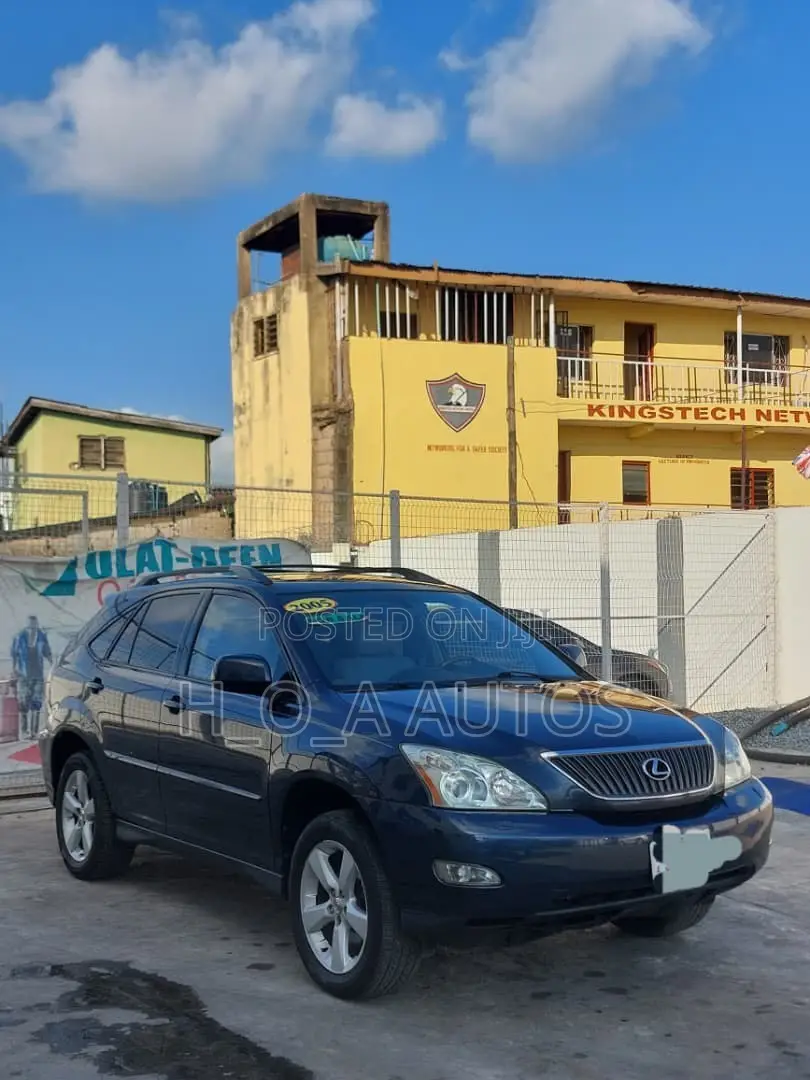 Lexus RX 330 2005 Gray