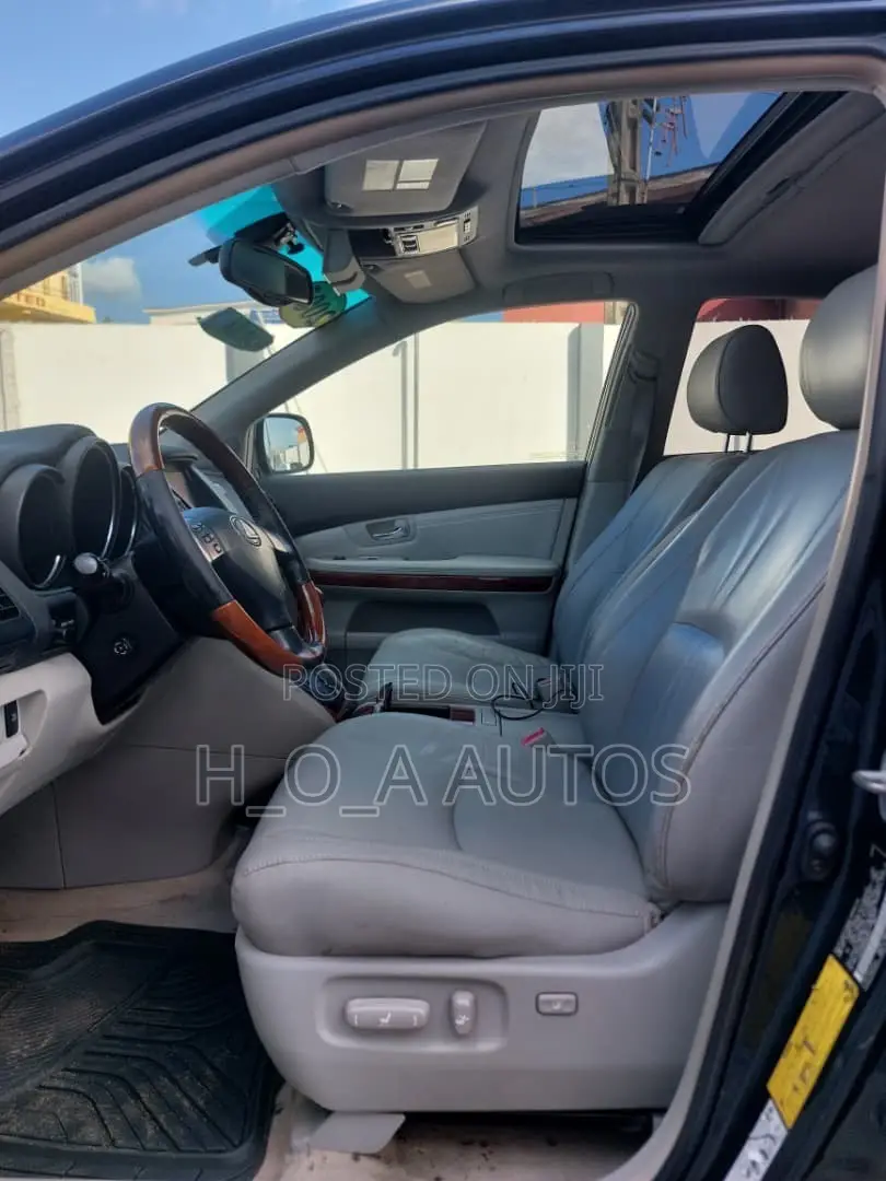 Lexus RX 330 2005 Gray