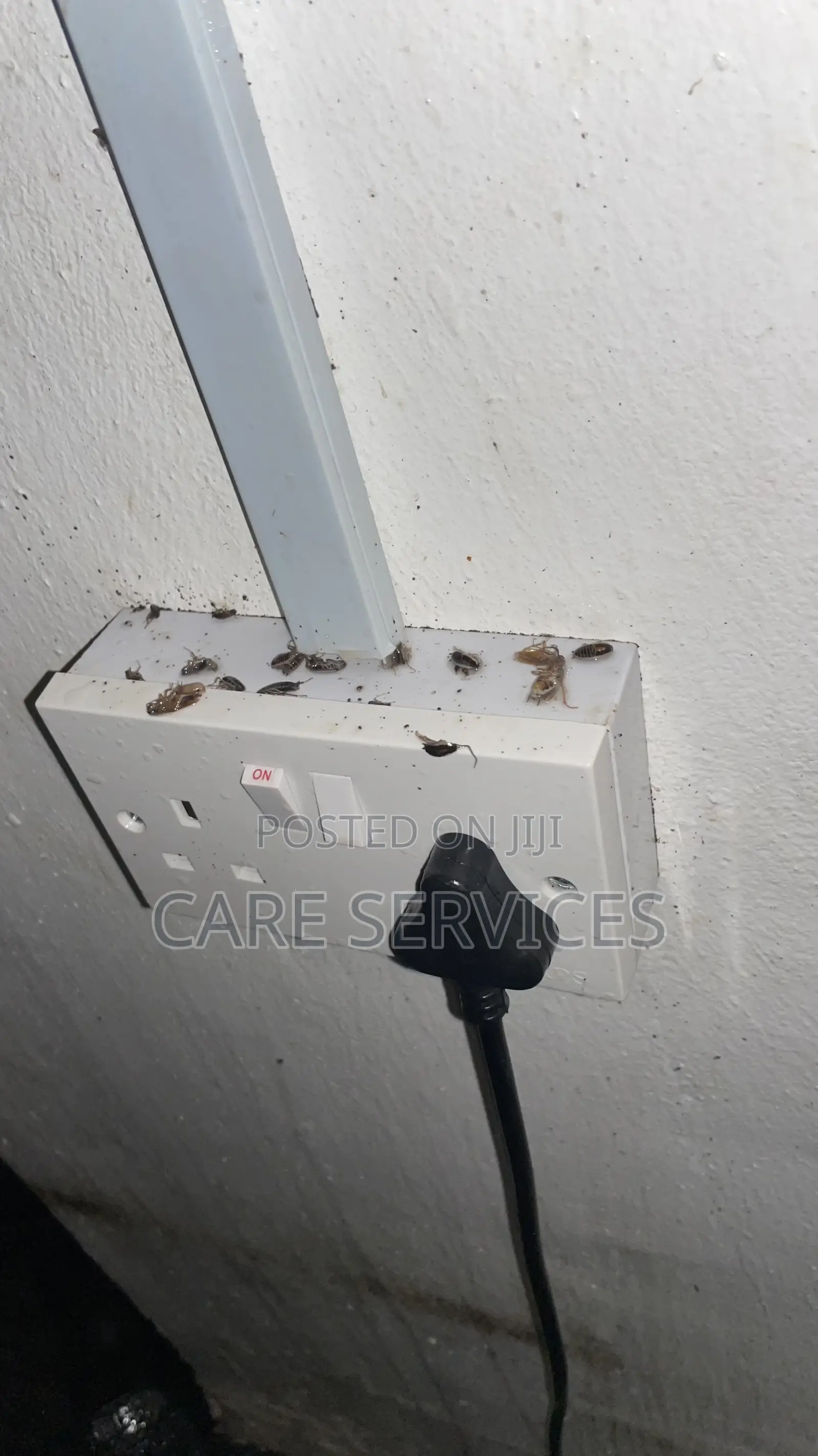 Best After Cockroaches Control Services