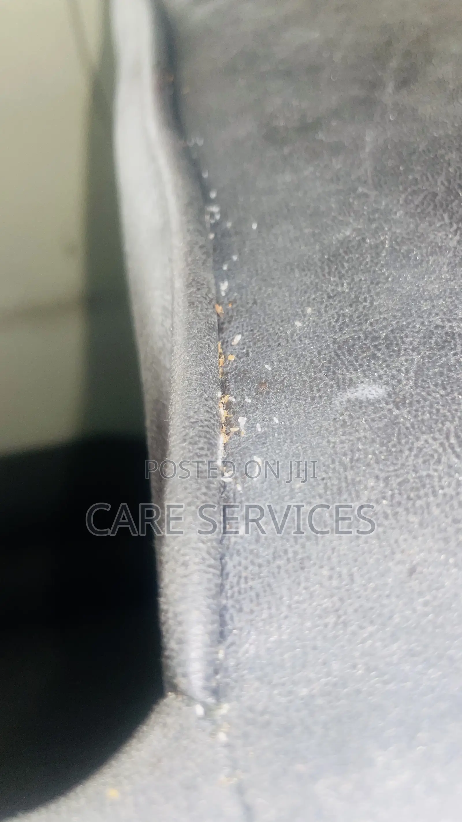 Best After Cockroaches Control Services