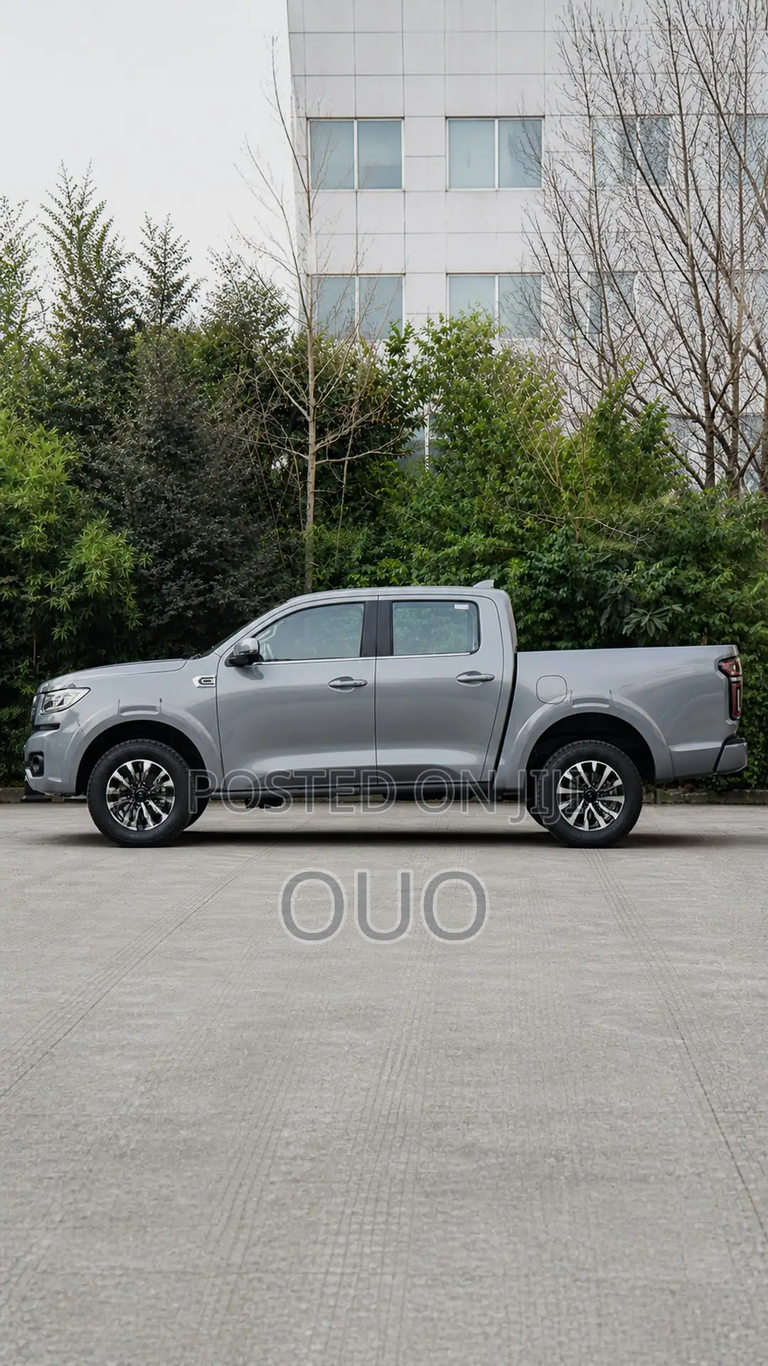 Great Wall Pao 2025 Gray