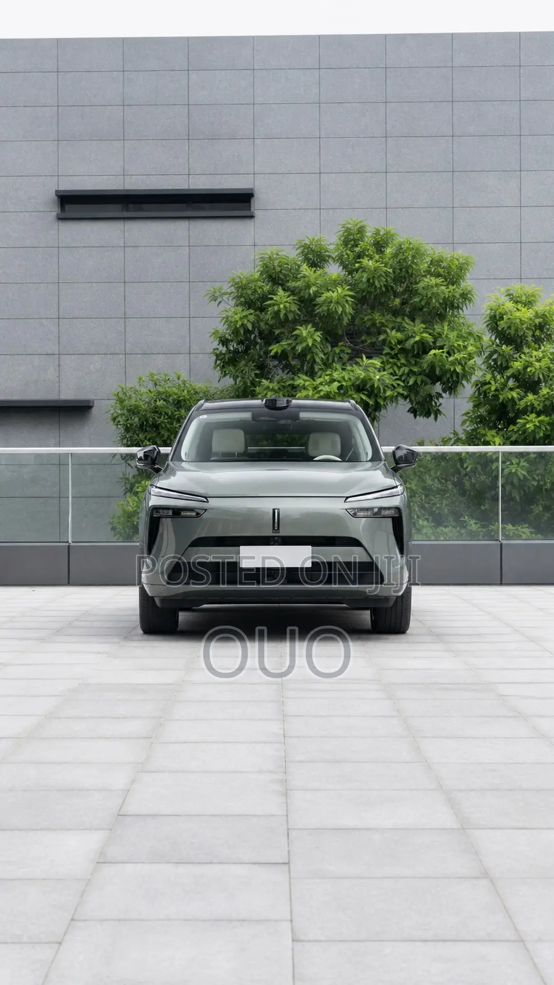 Wey Lanshan 2025 Green