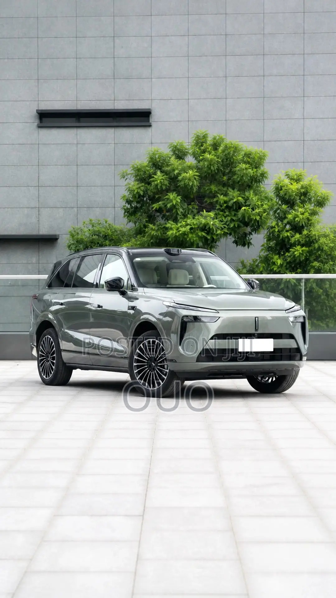 Wey Lanshan 2025 Green