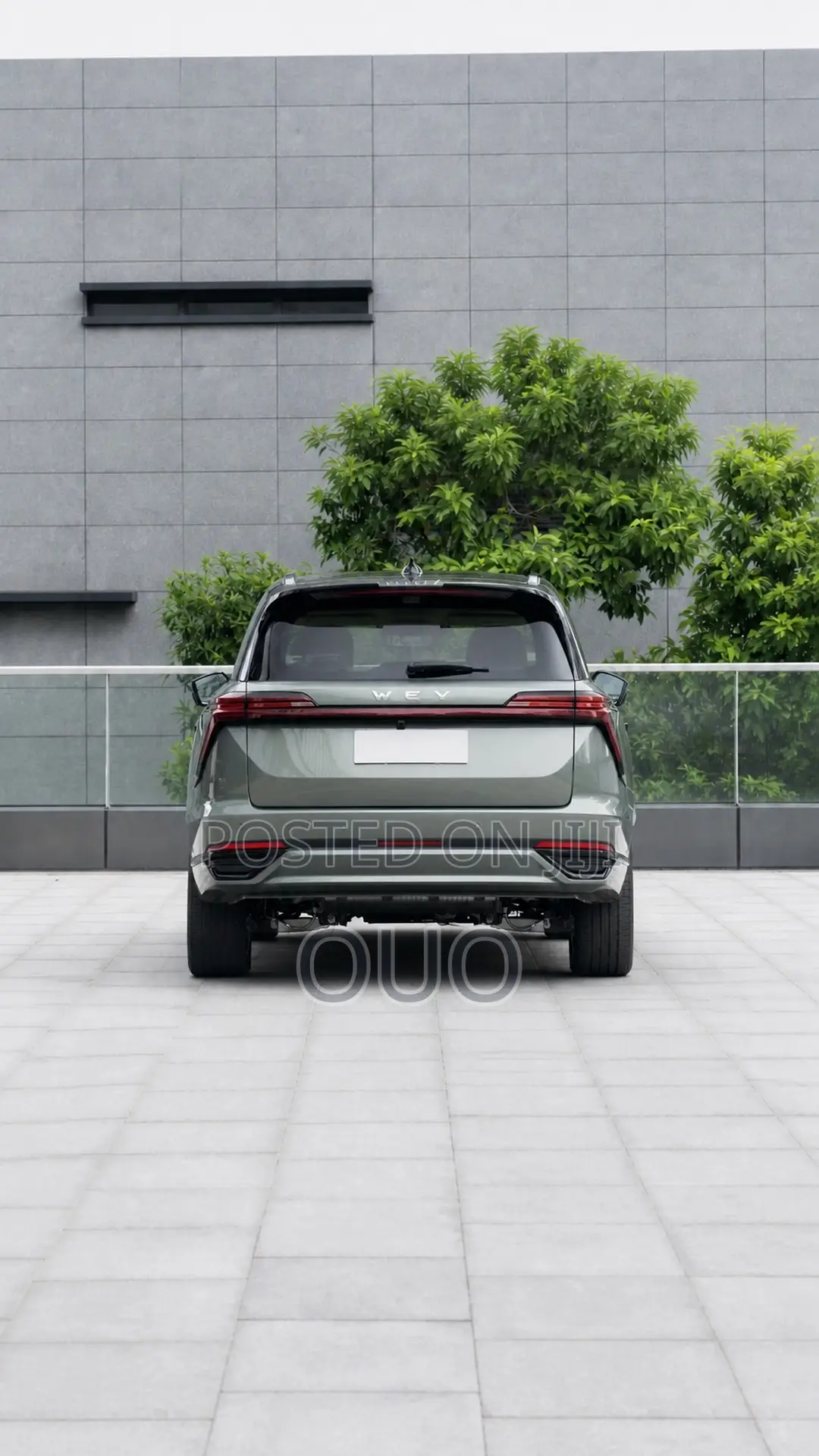 Wey Lanshan 2025 Green