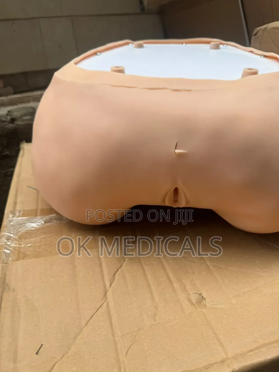 Pelvic Examination Model