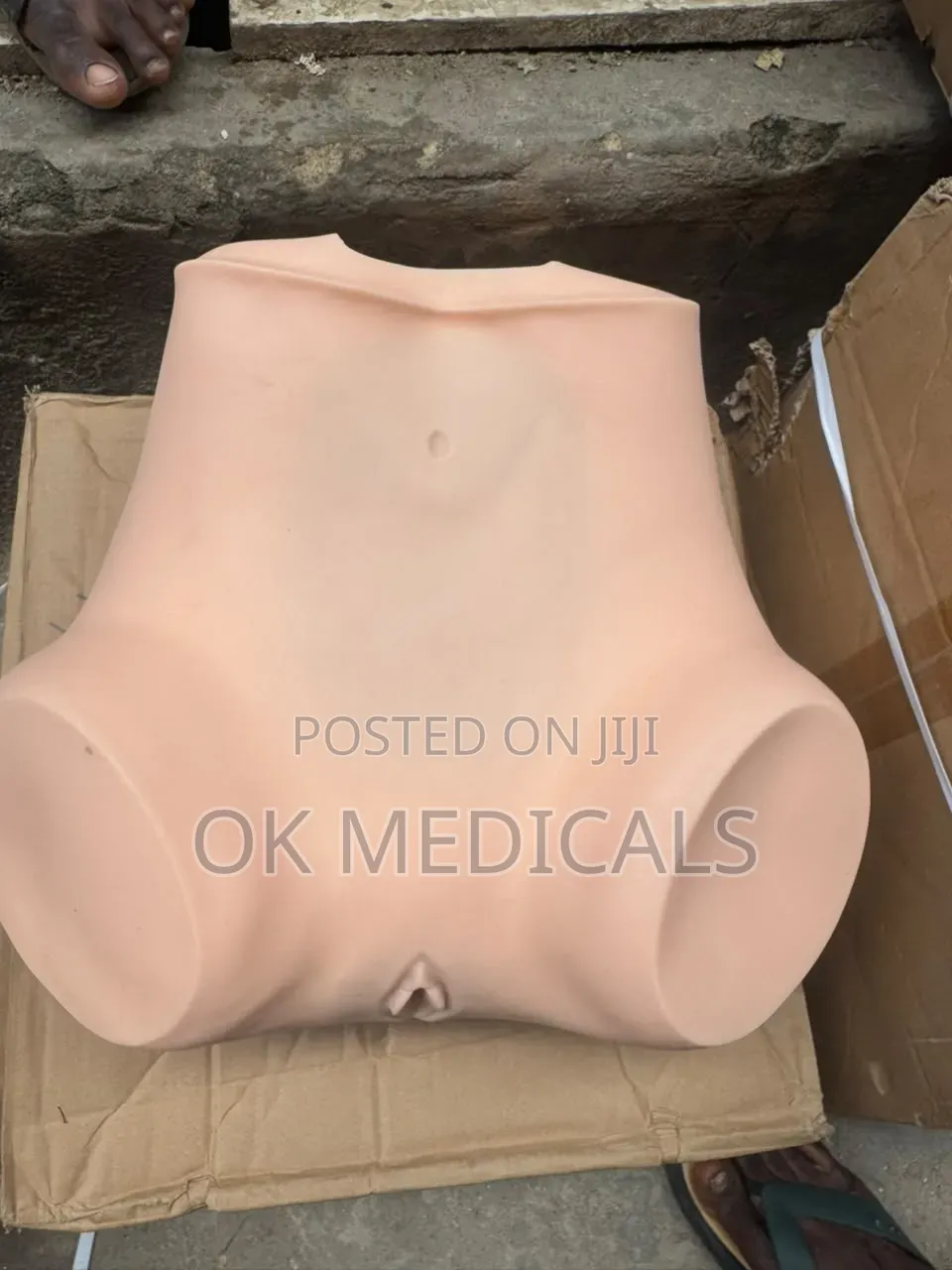Pelvic Examination Model
