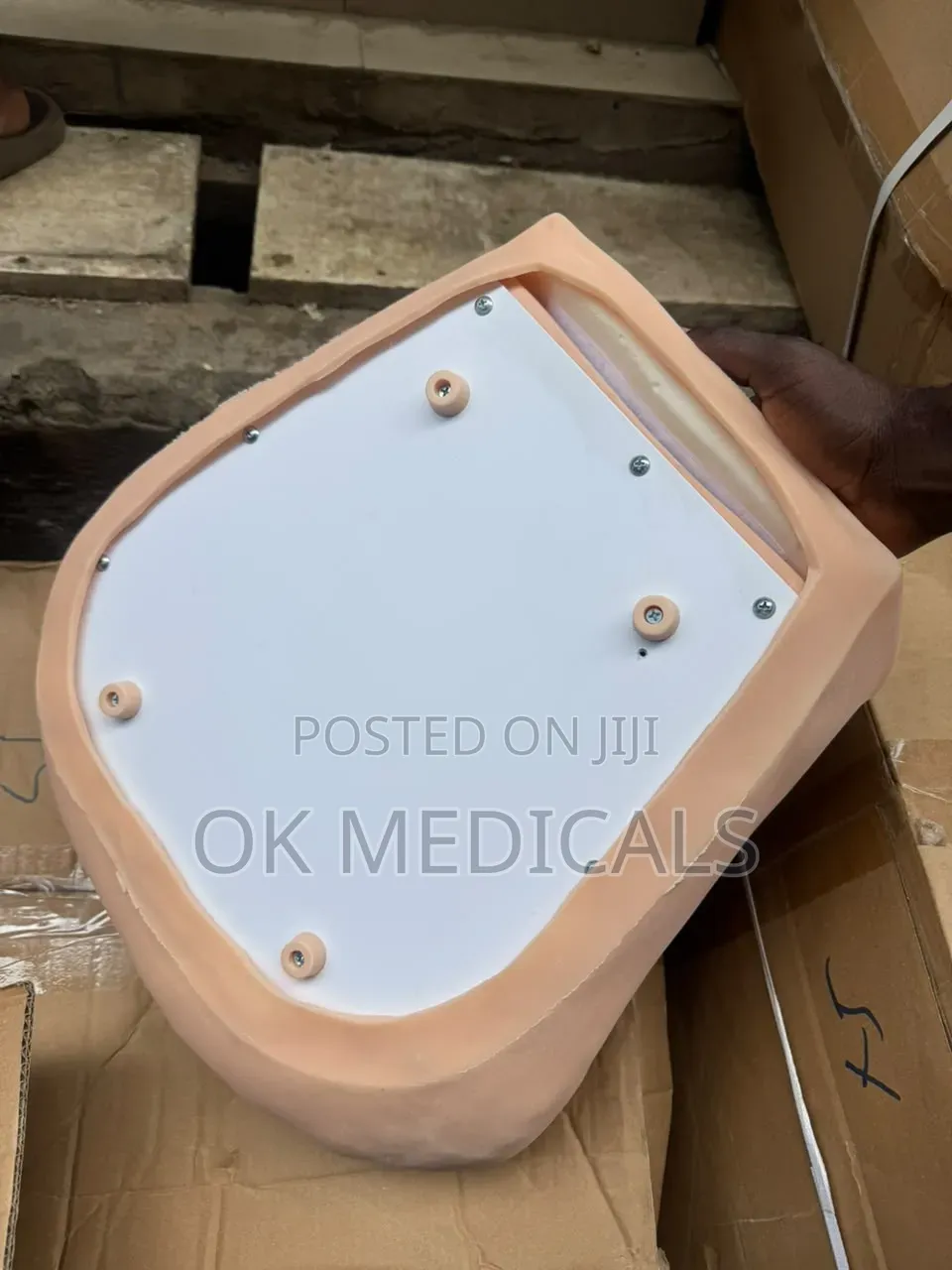 Pelvic Examination Model