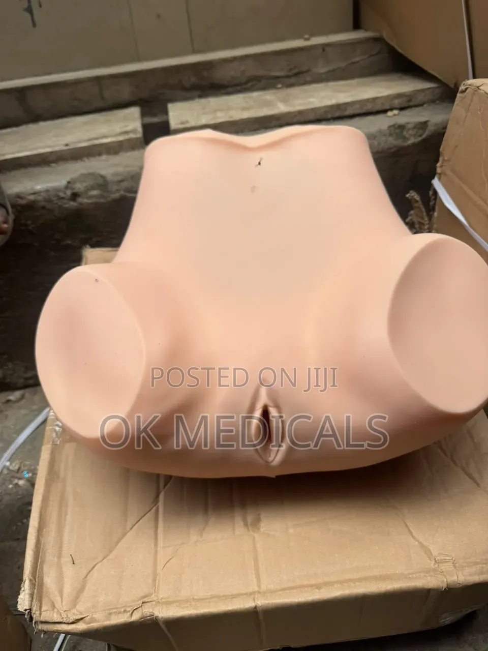 Pelvic Examination Model