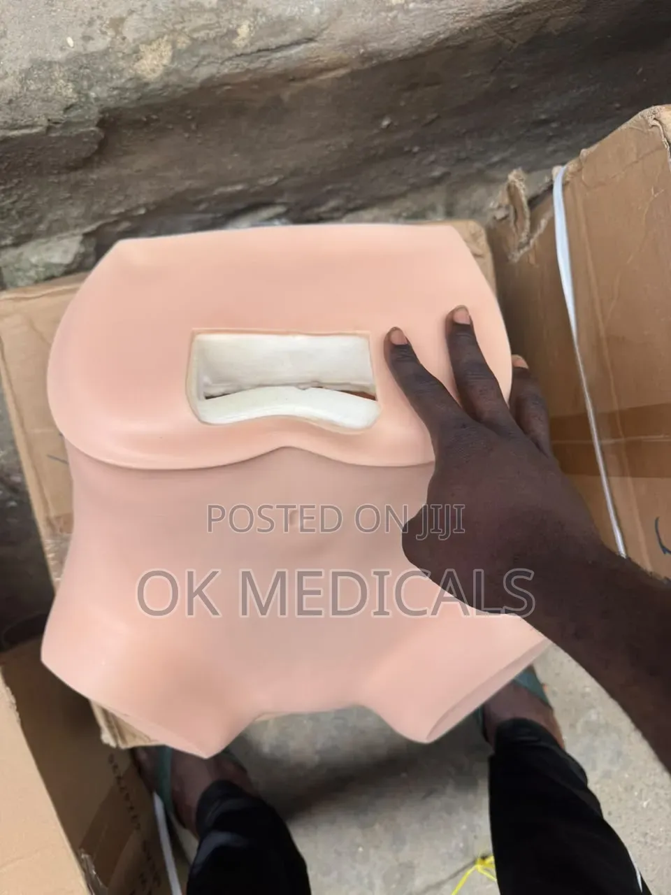 Pelvic Examination Model