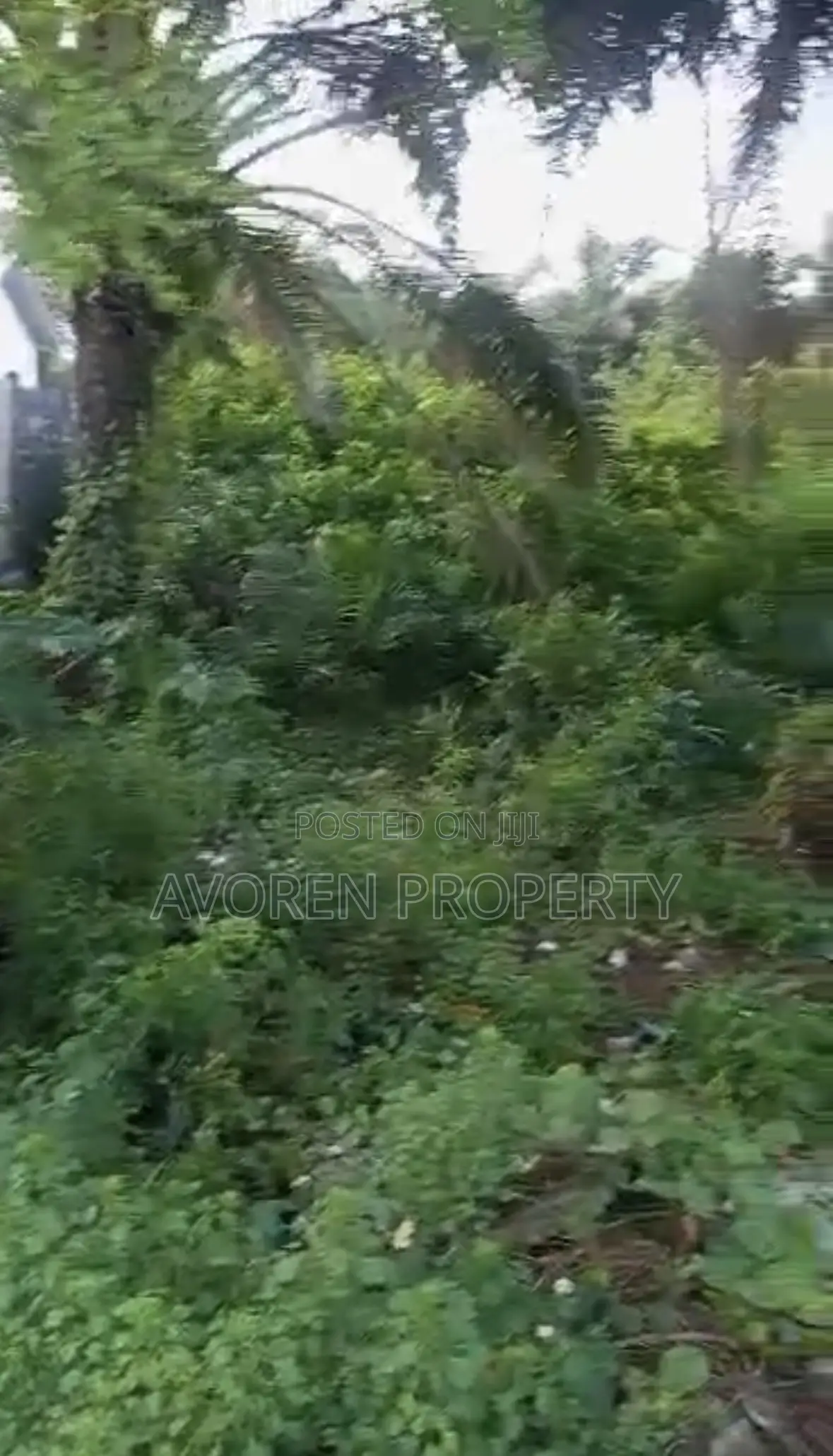 One Plot of Land at Museyo Facing Road (Eleko)