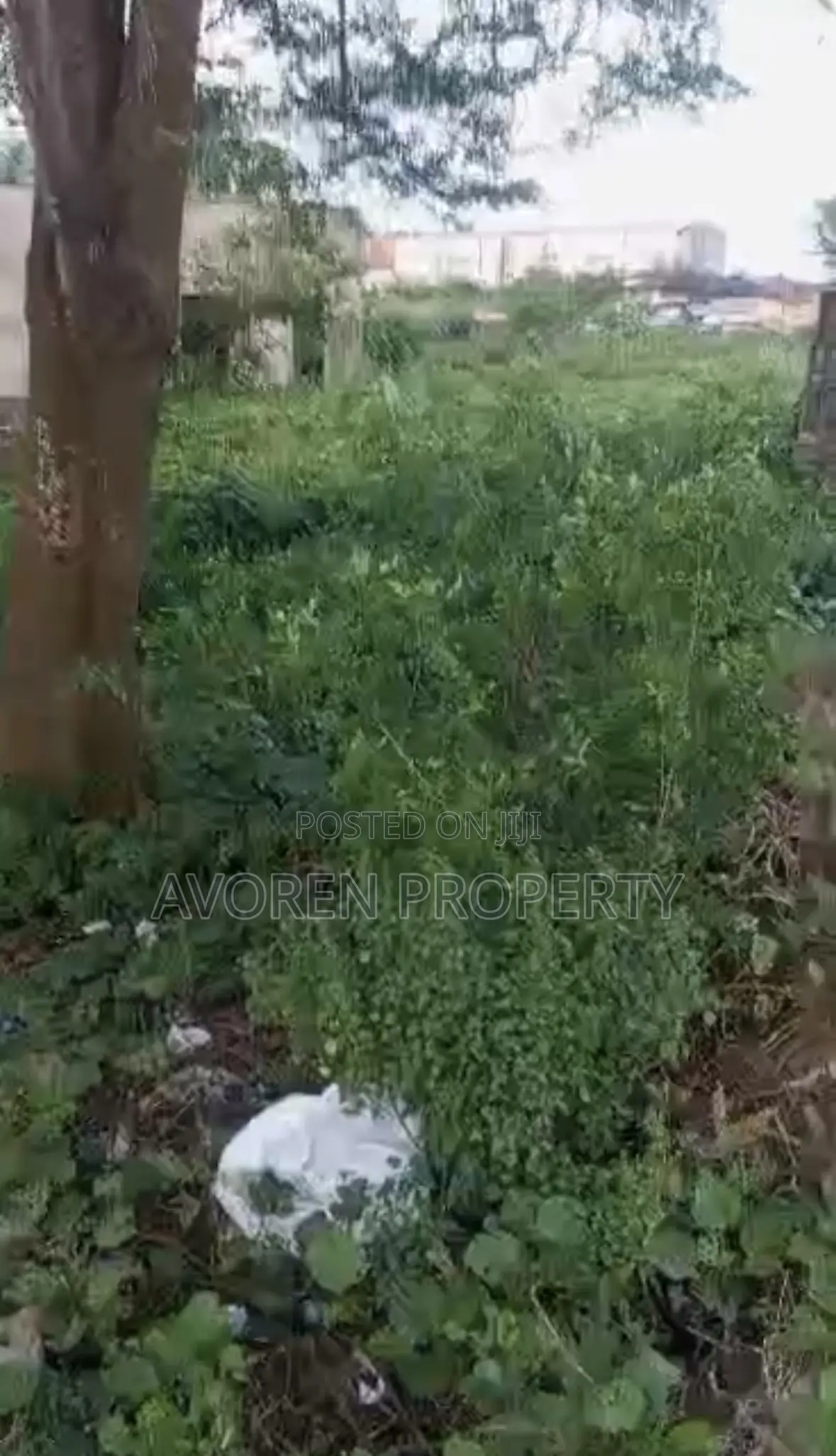 One Plot of Land at Museyo Facing Road (Eleko)