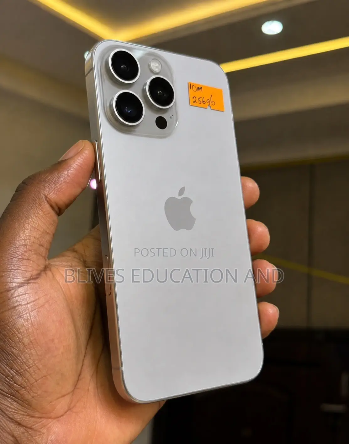 Apple iPhone 15 Pro Max 256 GB Silver