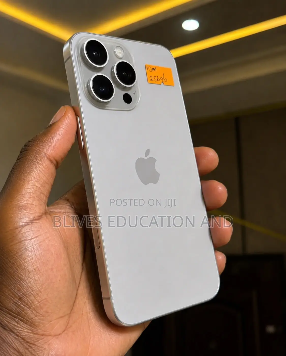 Apple iPhone 15 Pro Max 256 GB Silver