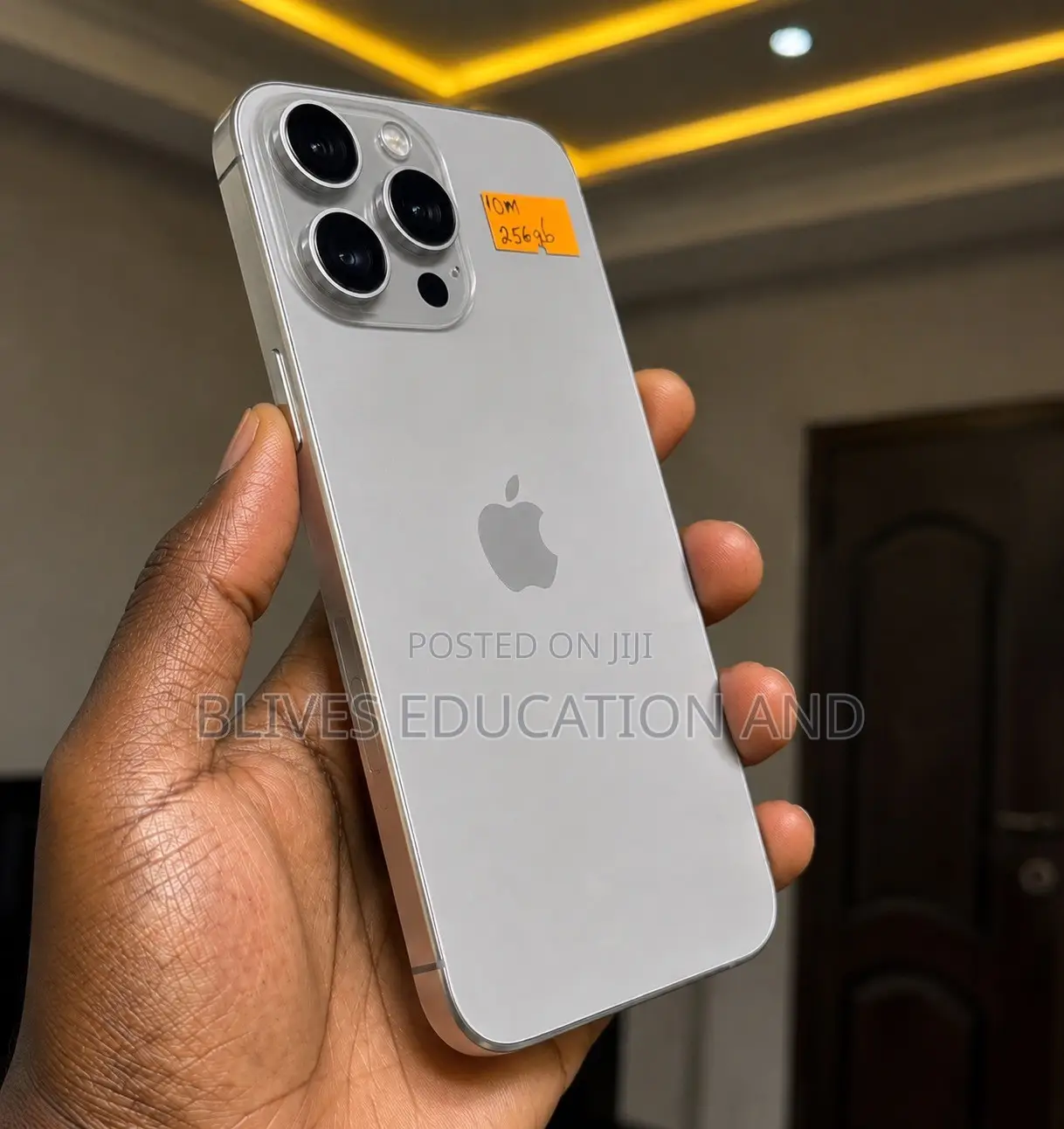 Apple iPhone 15 Pro Max 256 GB Silver