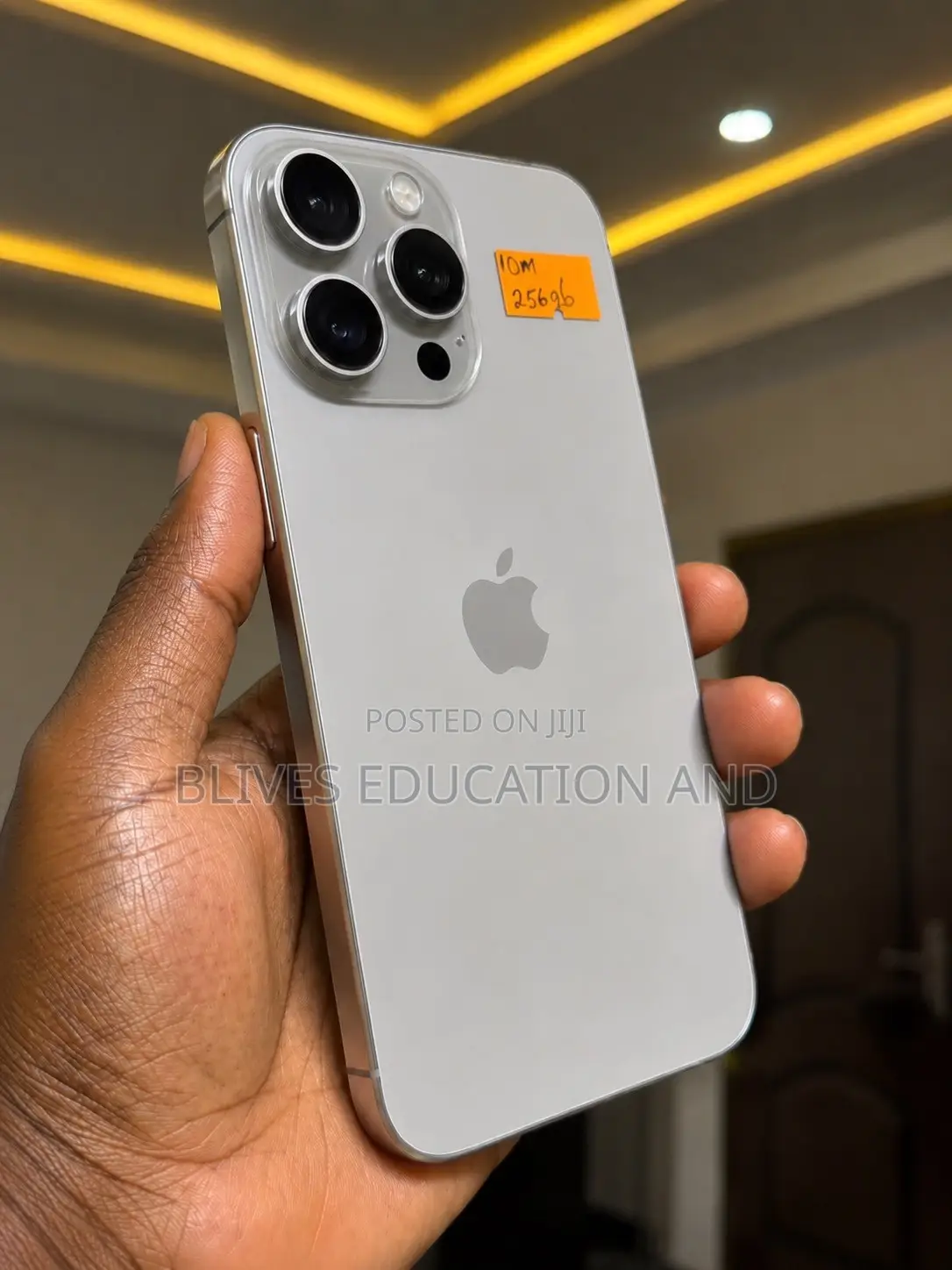 Apple iPhone 15 Pro Max 256 GB Silver