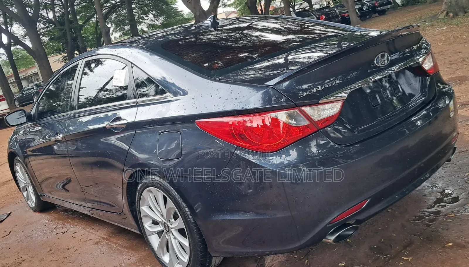 Hyundai Sonata Limited Sedan FWD (2.4L 4cyl 6A) 2013 Gray
