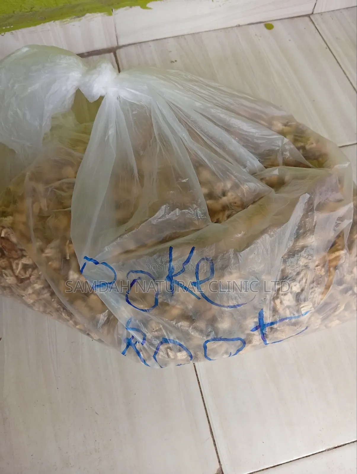 Poke Root Herbs