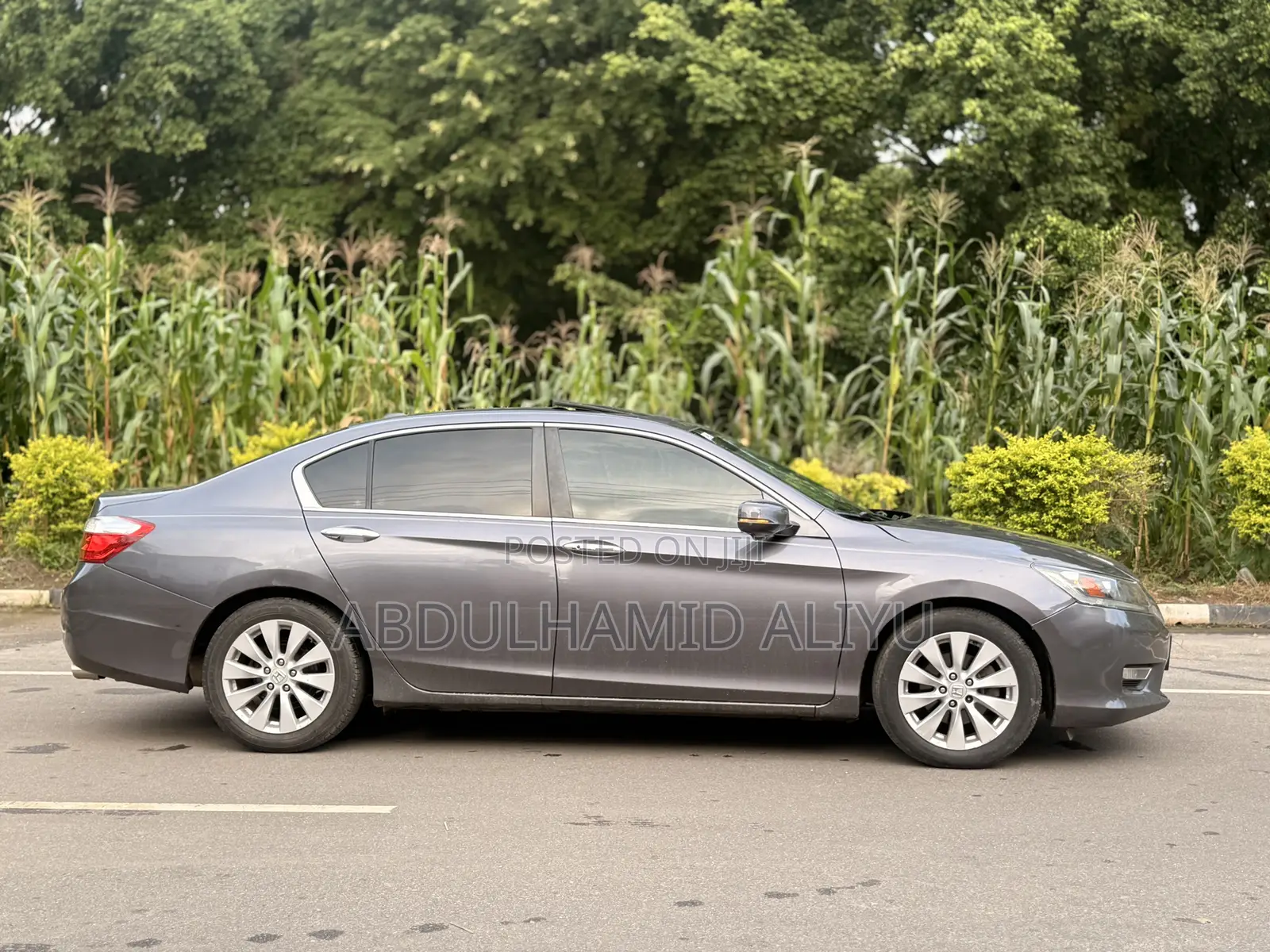 Honda Accord EX-L 4dr Sedan w/Navigation (2.4L 4cyl CVT) 2014 Gray