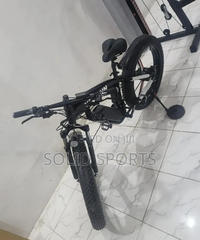 Electric Fat Tyre Bike