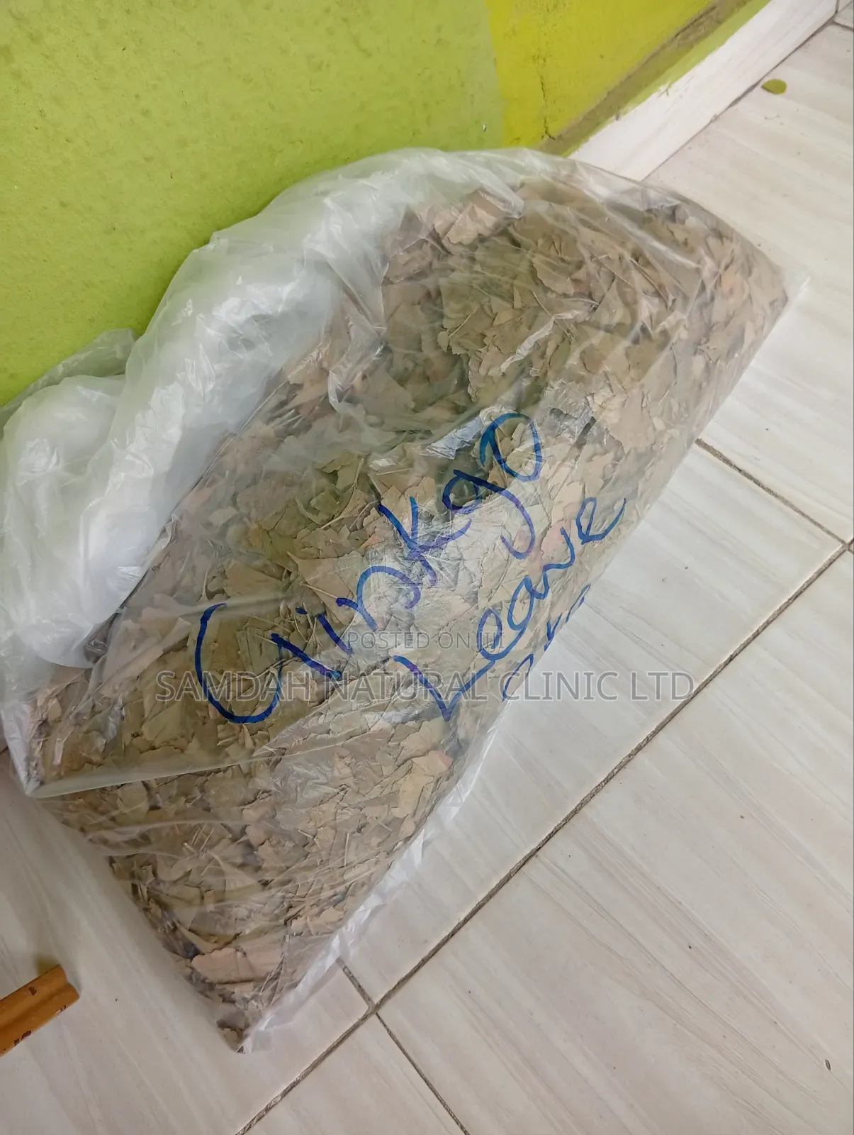 Ginko Leave Herbs