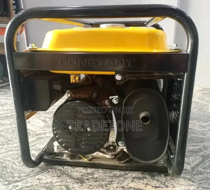 Elepaq 4.5KVA Constant Manual Starter 100% Copper Generator | SV6800