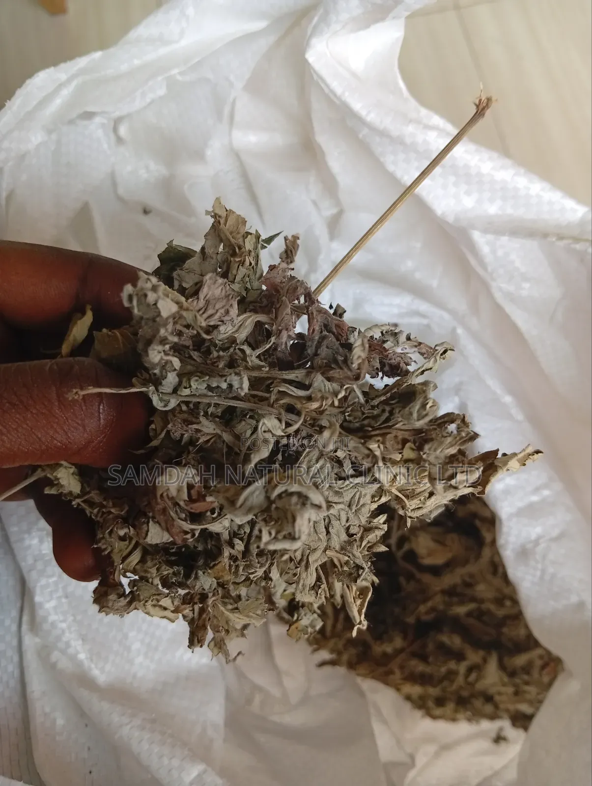Mugwore Herbs