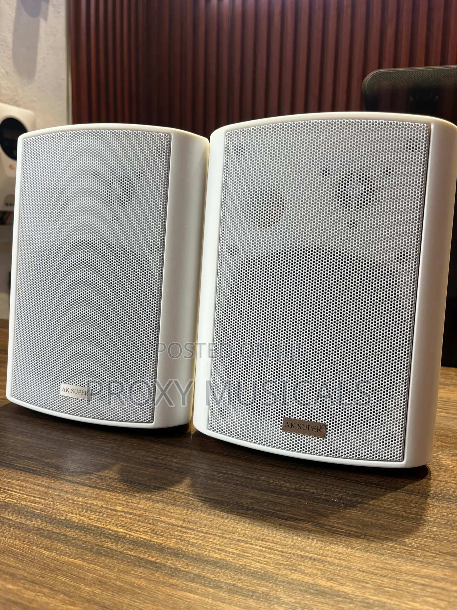 White Indoor/Outdoor Hanging Pendant Speakers