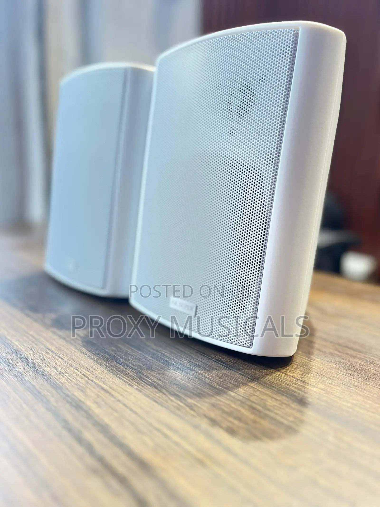 White Indoor/Outdoor Hanging Pendant Speakers