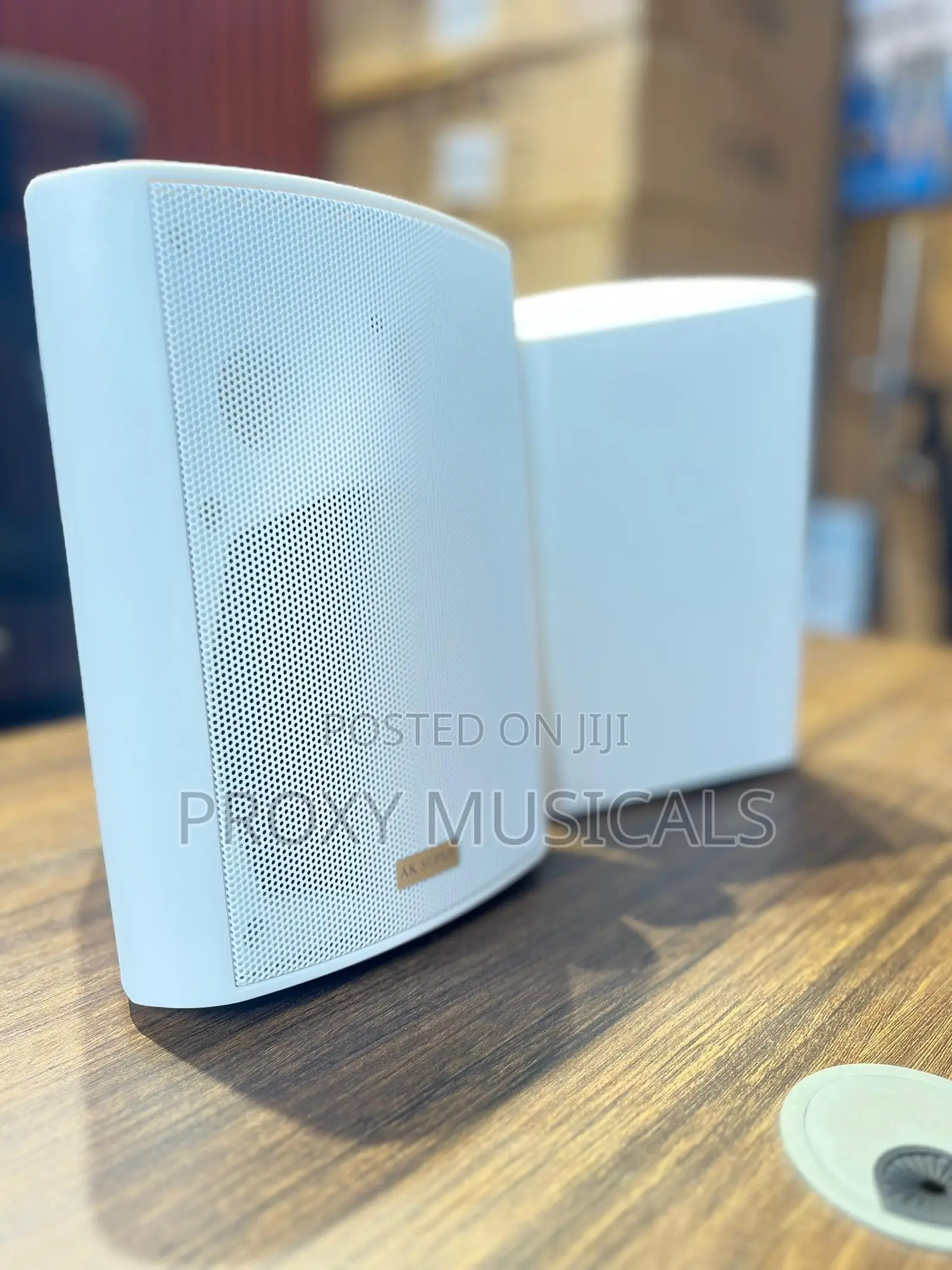 AK Super White Indoor/Outdoor Hanging Speakers