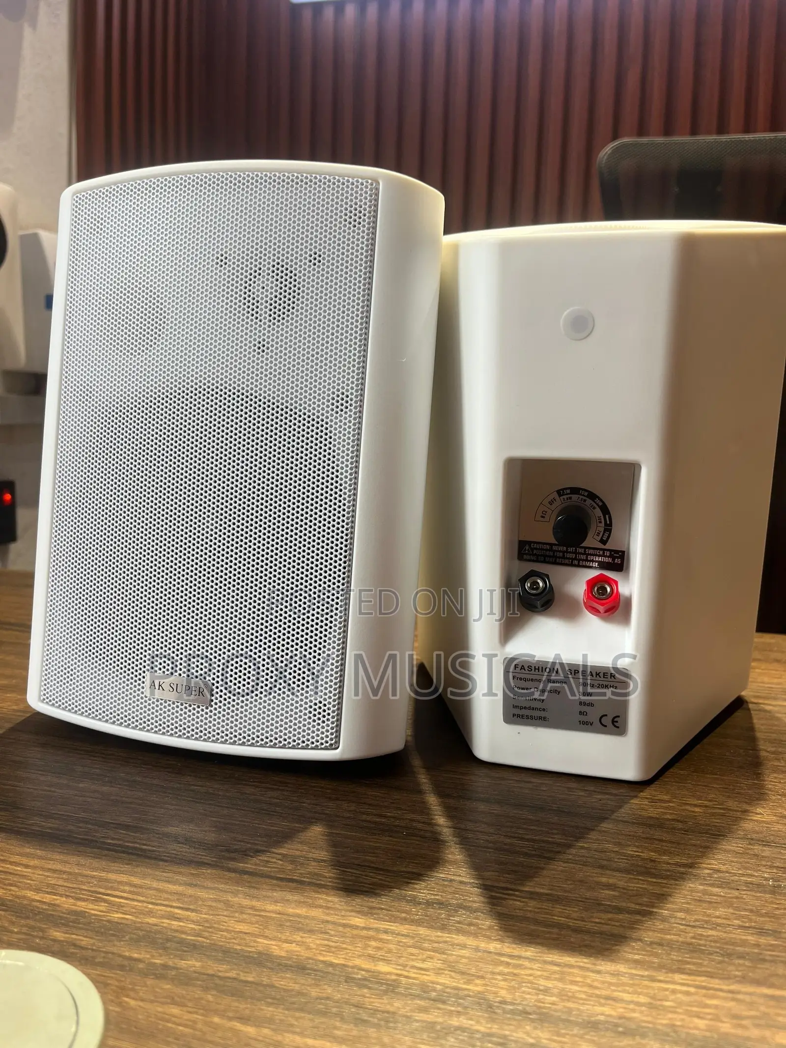 AK Super White Indoor/Outdoor Hanging Speakers
