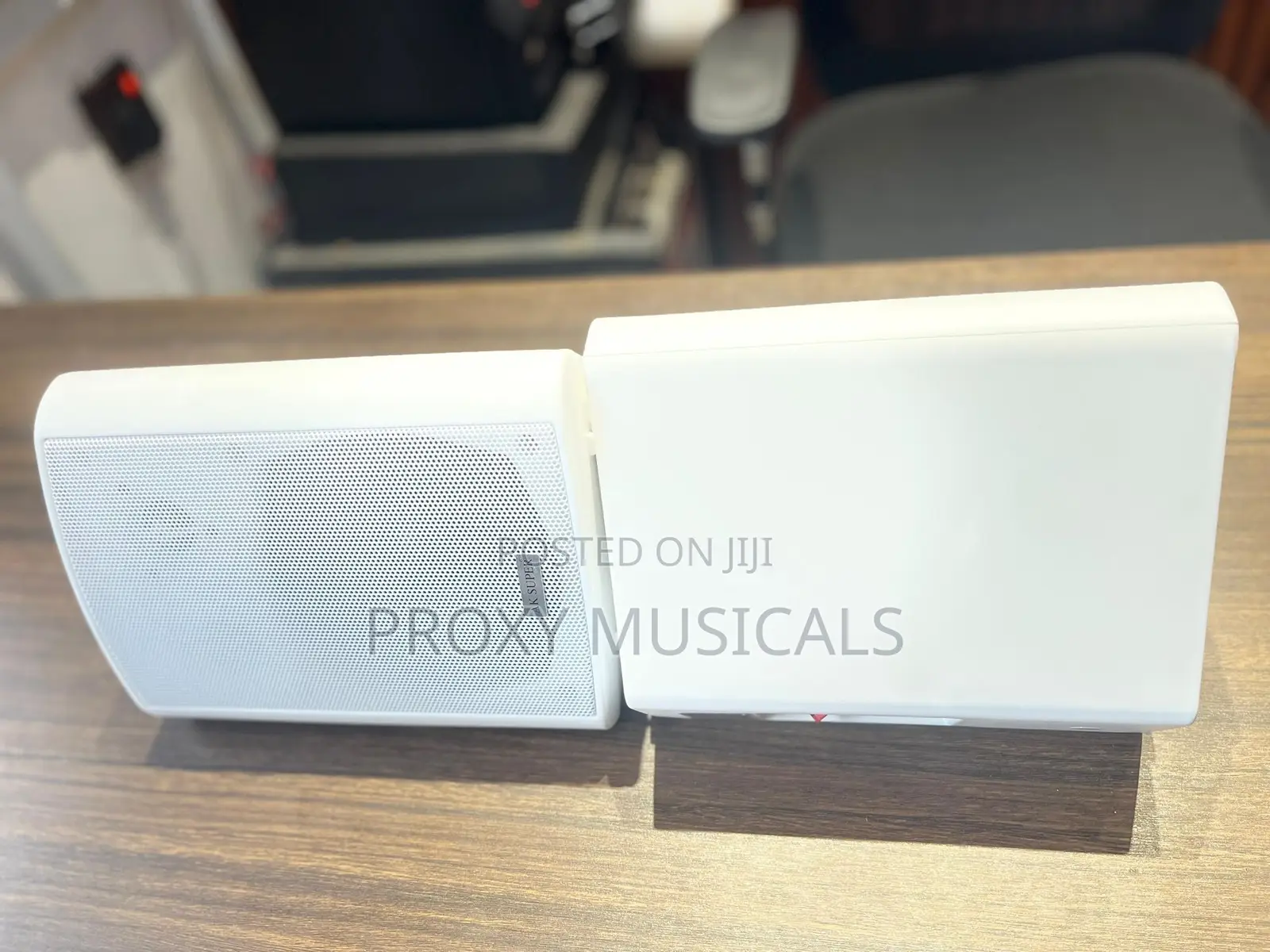 AK Super Indoor/Outdoor White Hanging Speakers