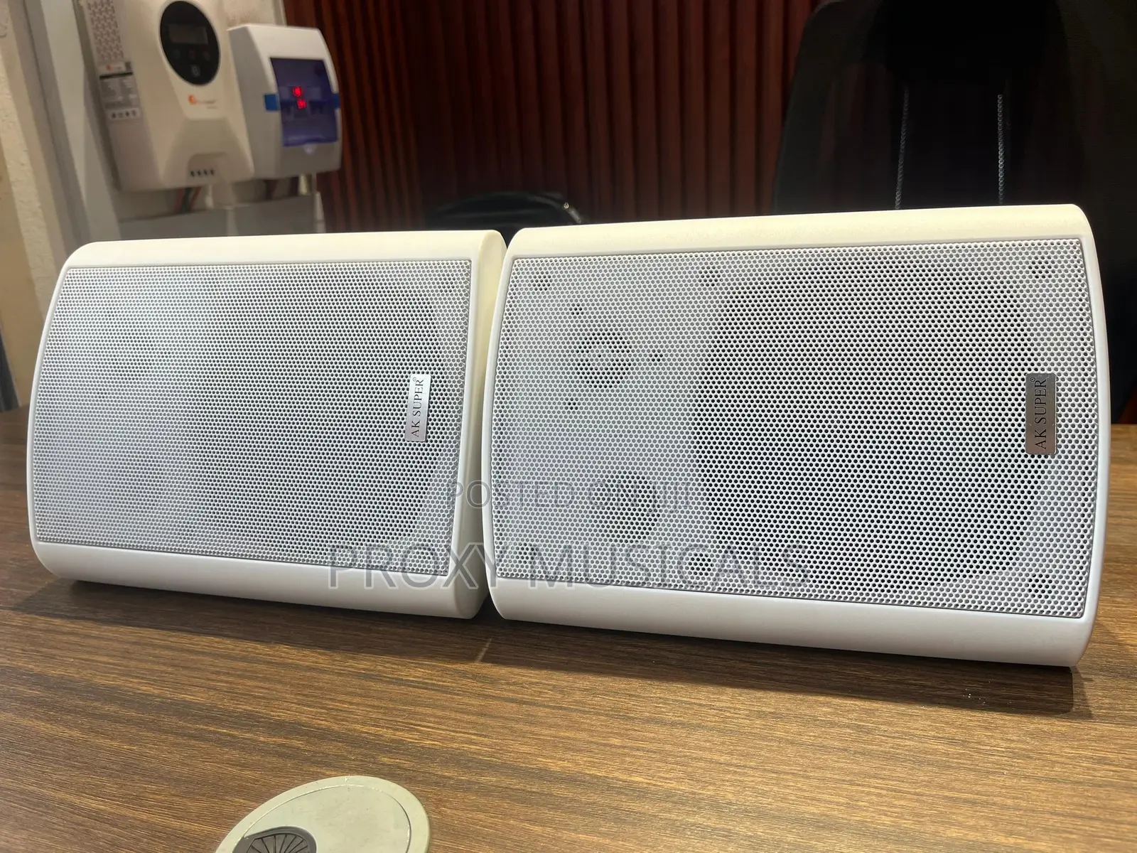 AK Super Indoor/Outdoor White Hanging Speakers