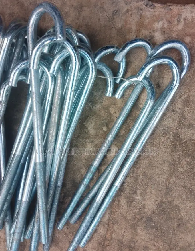 Foundation Bolts M16*300