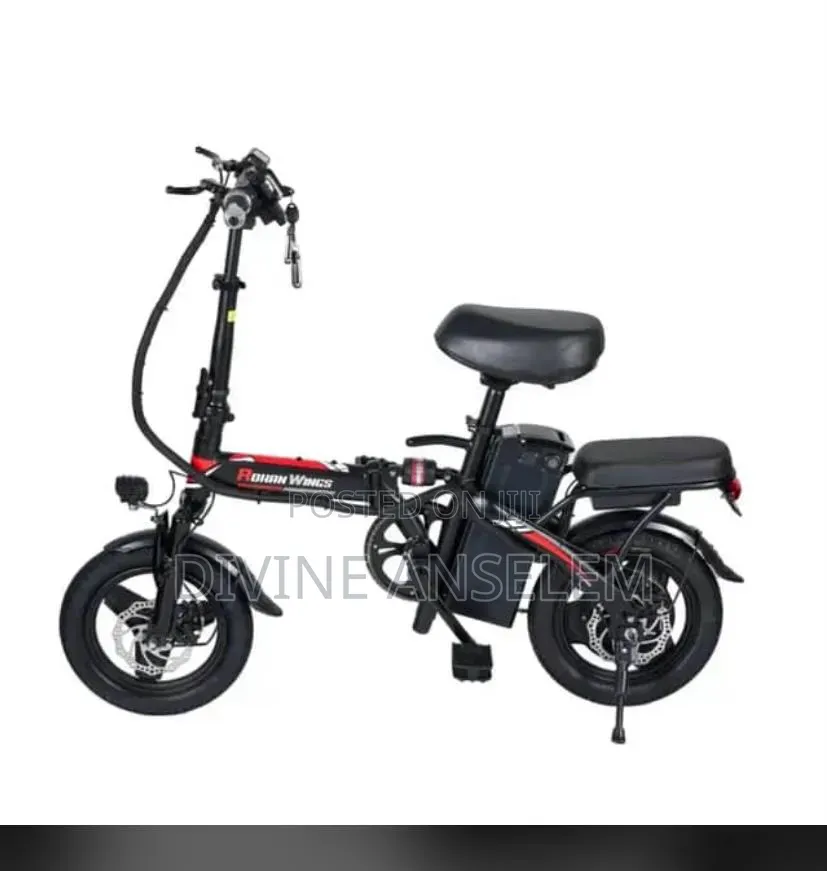 Electric Bicycle