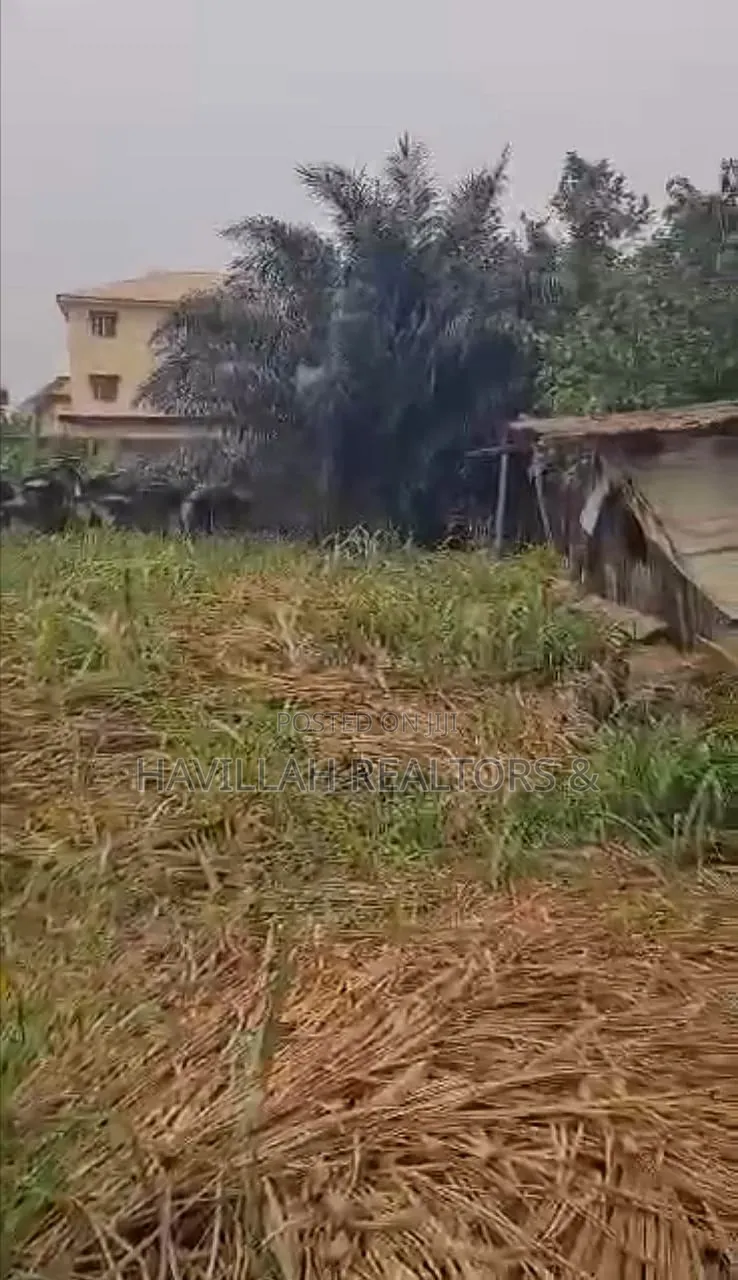 Fully Fenced and Gated Estate