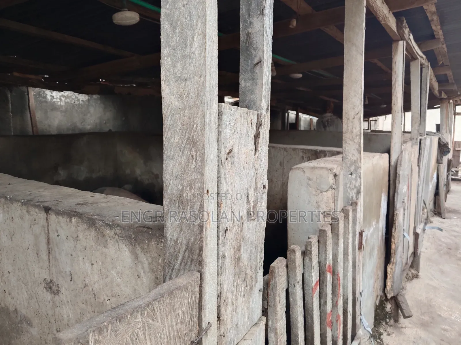 For Sale Existing Poultry