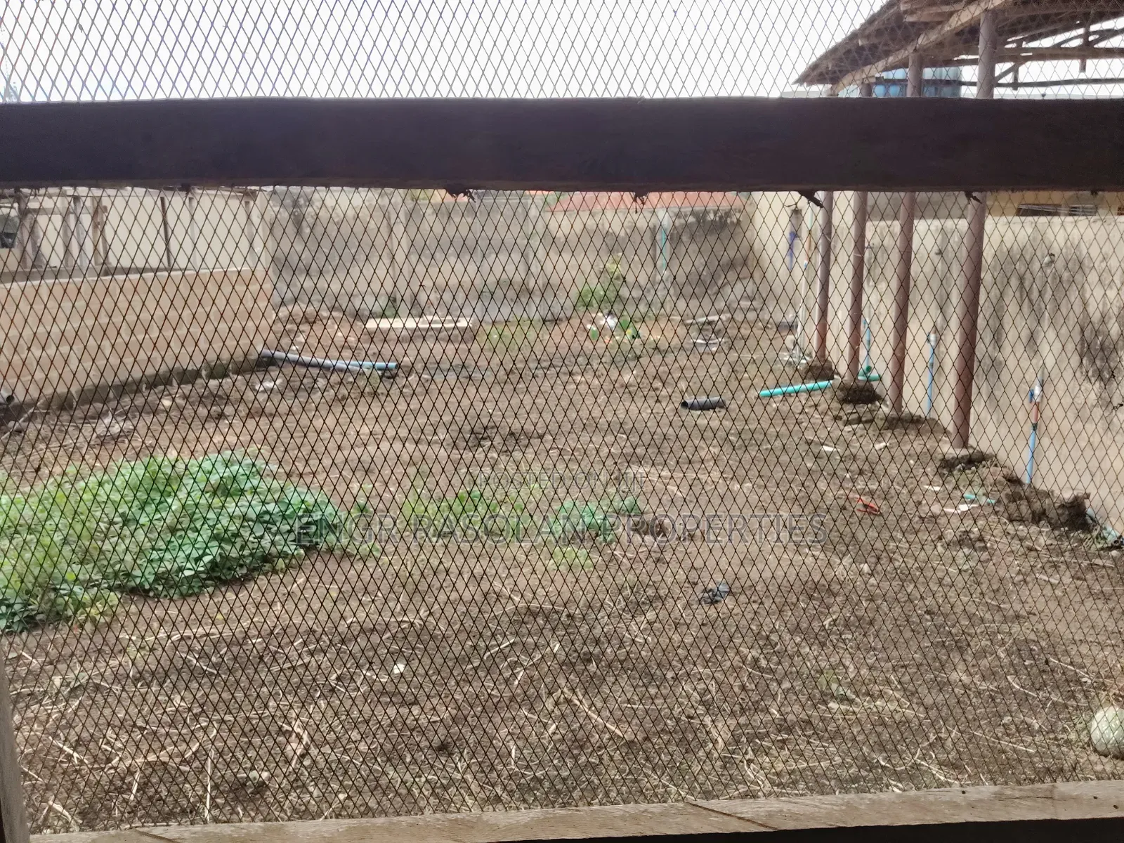 For Sale Existing Poultry