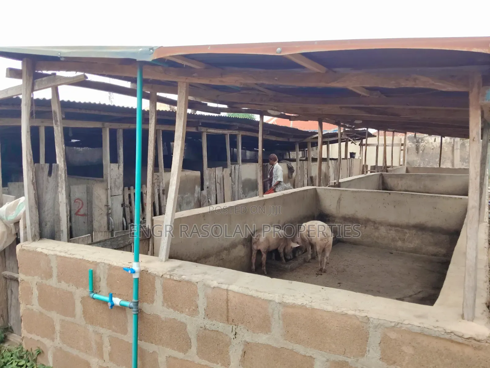For Sale Existing Poultry
