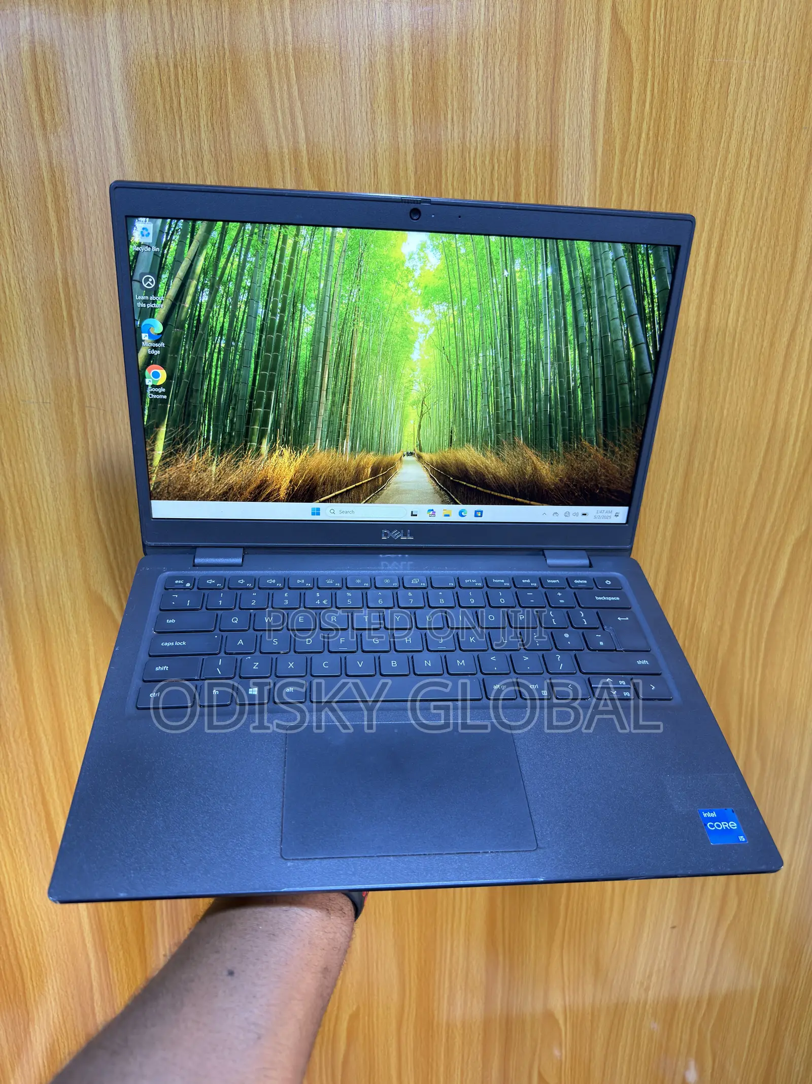 Laptop Dell Latitude 3420 8GB Intel Core i5 SSD 256GB