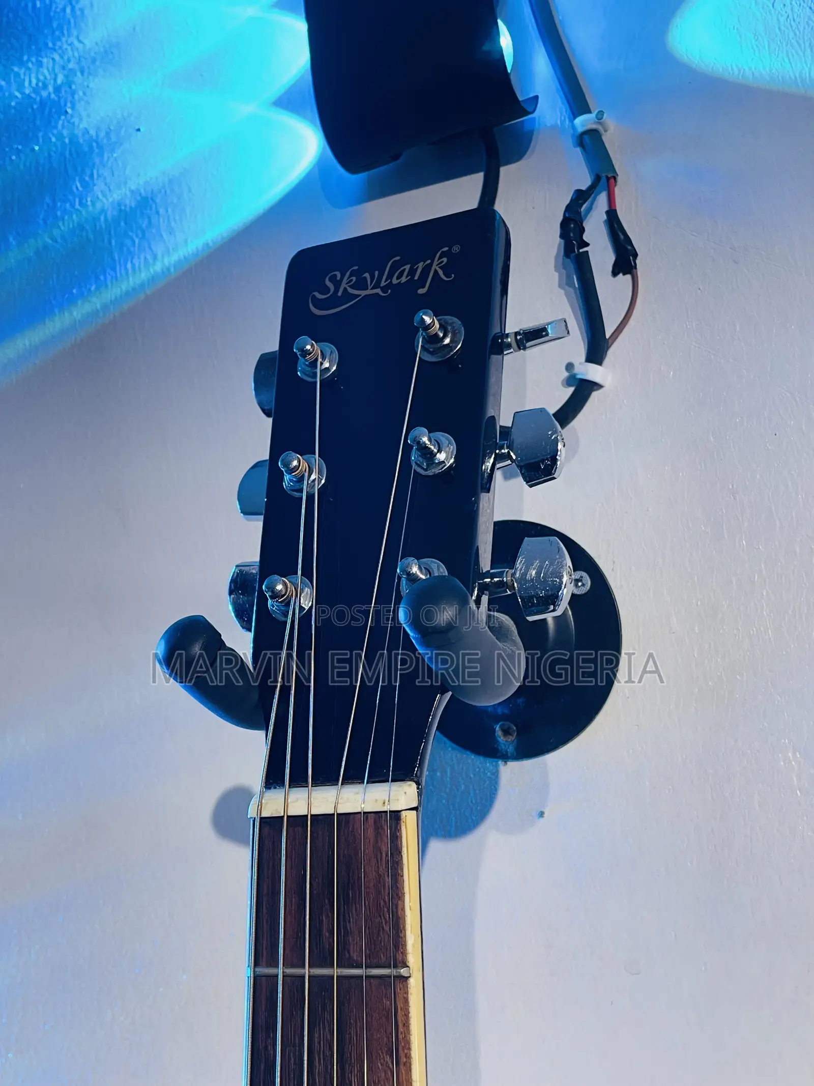 Skylark Acoustic Guitar Dreadnought