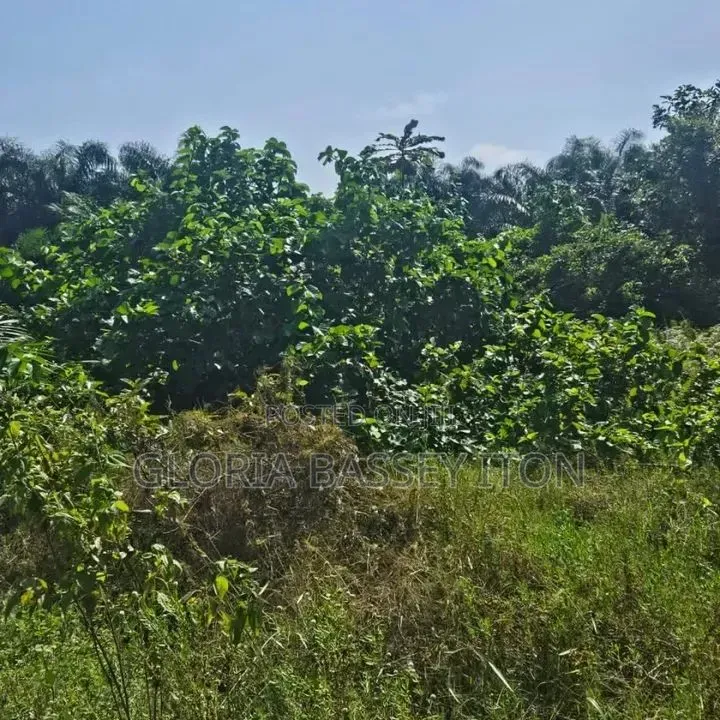 Land for Sale in  Laokwe  Facing the Exxpressway